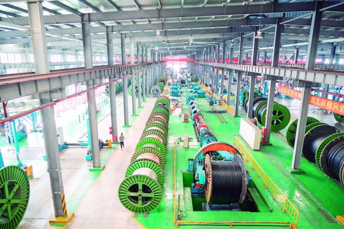 新質(zhì)浙商 | 起帆電纜：向“百年起帆”進(jìn)發(fā)